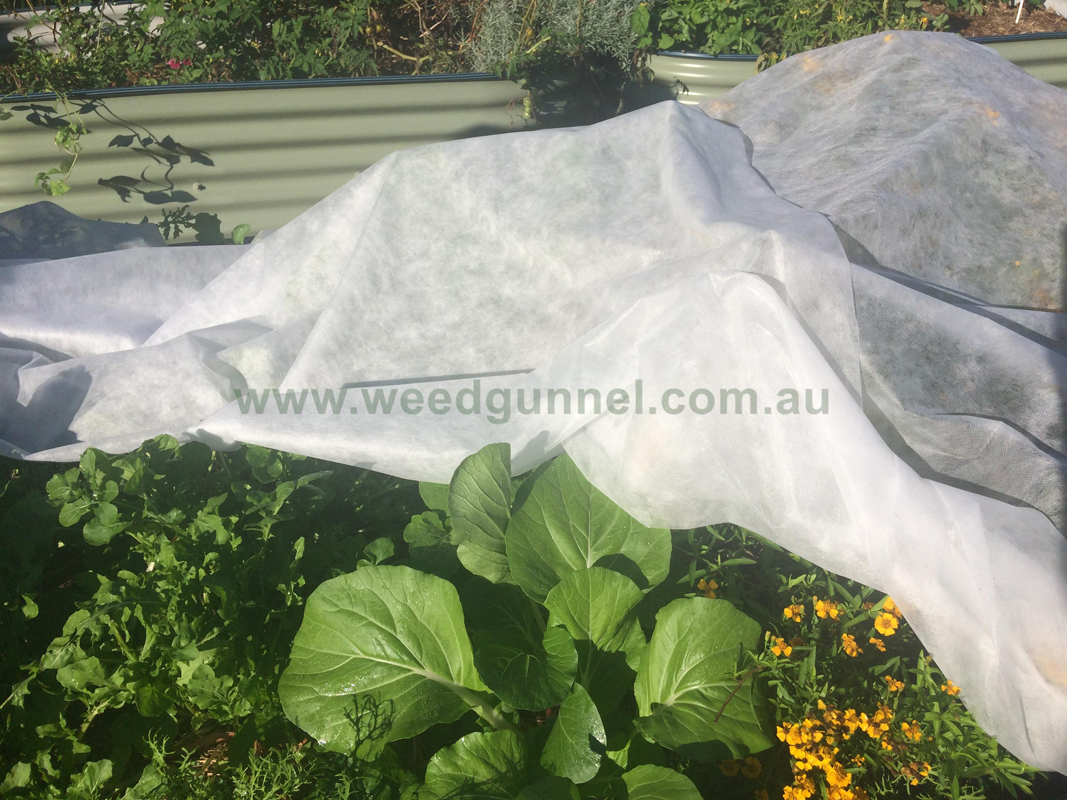 Horticultural Fleece